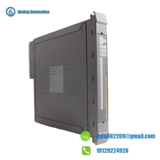 ICS TRIPLEX T8403 Module