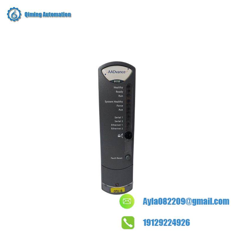 ICS Triplex T9110 Module