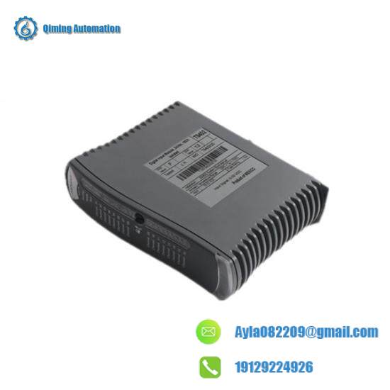 ICS Triplex T9481 Module