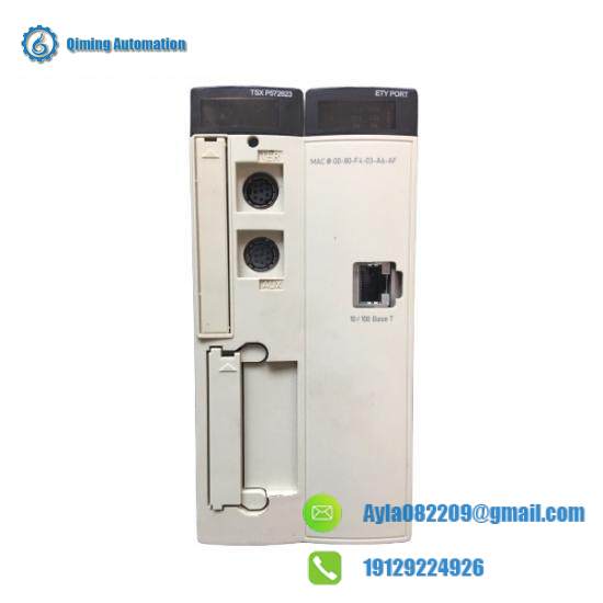 Schneider 170PNT11020 Module