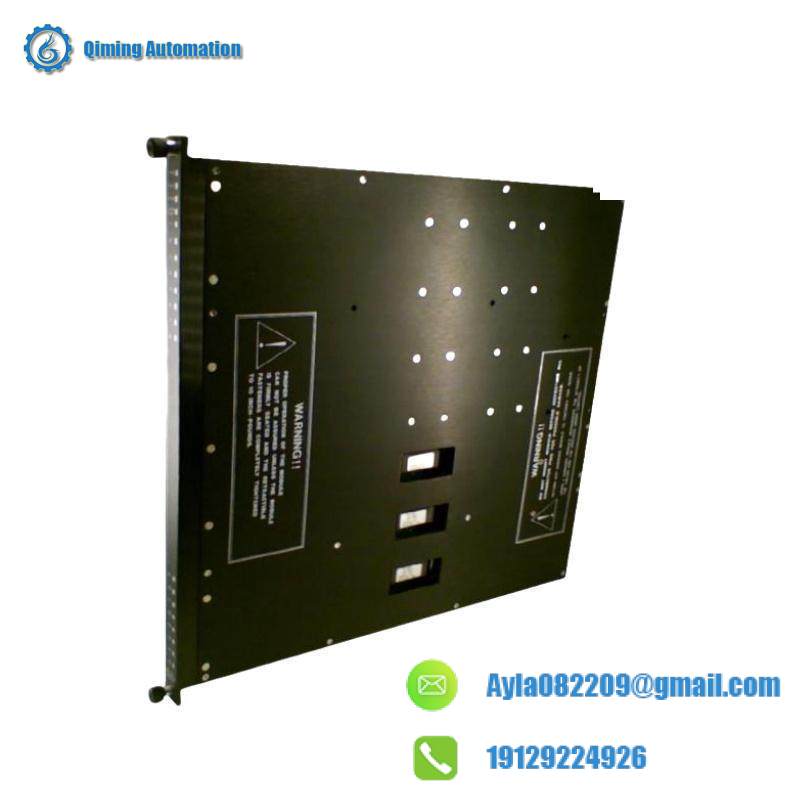 TRICONEX 3607E Module