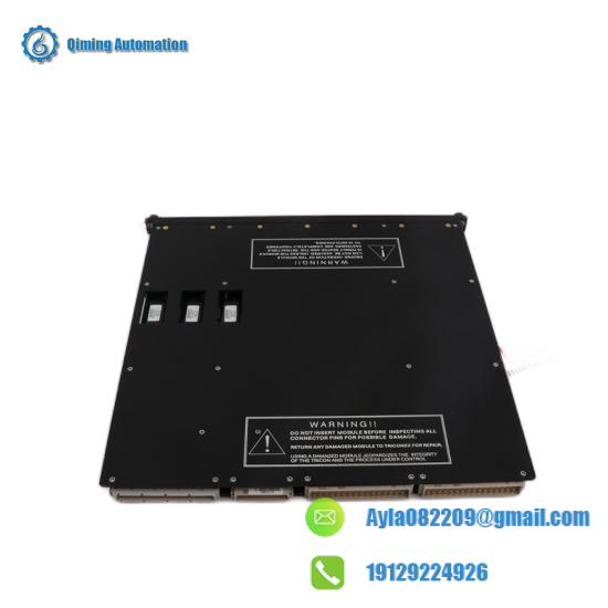TRICONEX 3636R System Integration