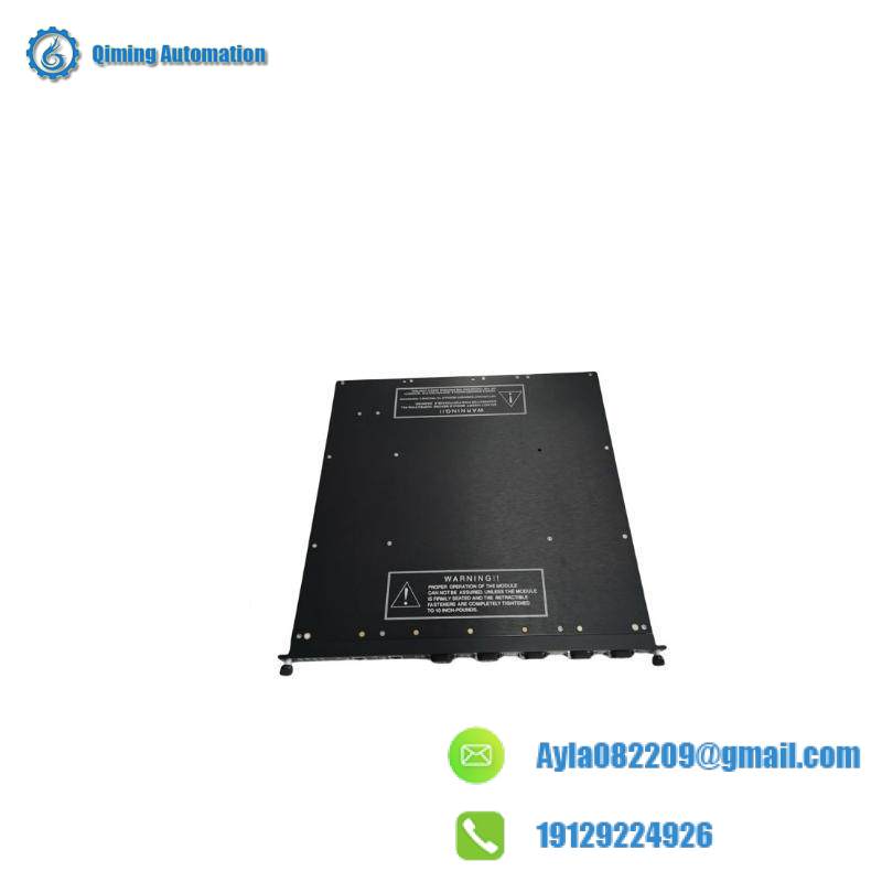 TRICONEX 4000093-210 Module