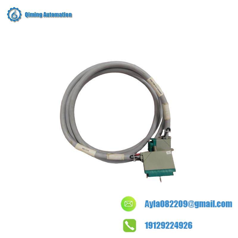 TRICONEX 4000093-310