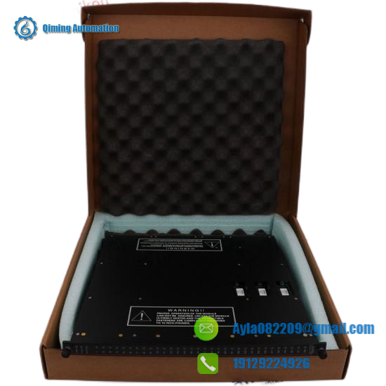 TRICONEX 3008N Module