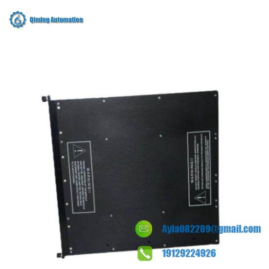 TRICONEX 4000093-110N Front View