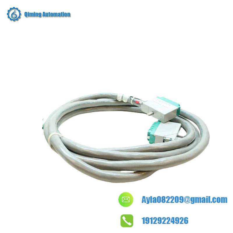 TRICONEX 4000094-313 Application