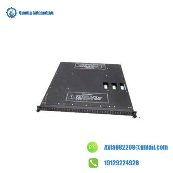 TRICONEX 4000103-513 Module