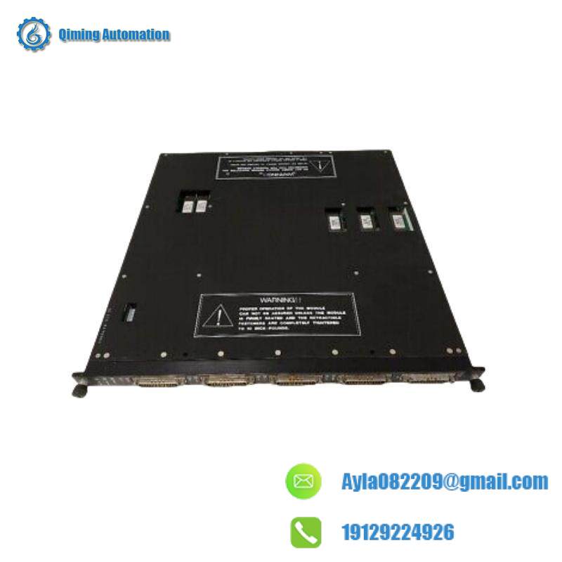 TRICONEX 4119A Module