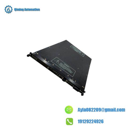 TRICONEX 9563-810 Installation