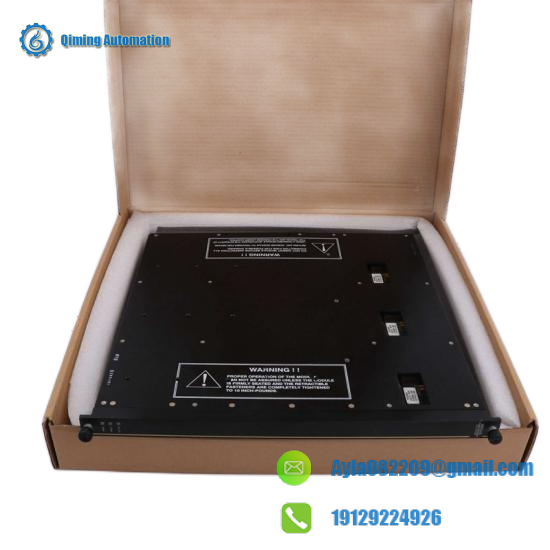 TRICONEX 9566-810F Front View