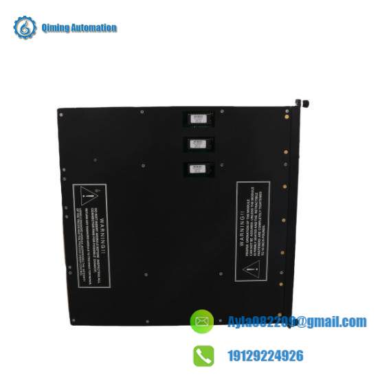 TRICONEX Module Installation