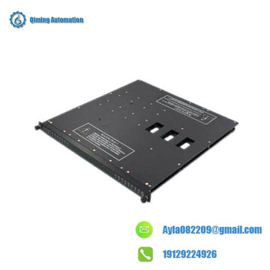 TRICONEX AO2481 Module