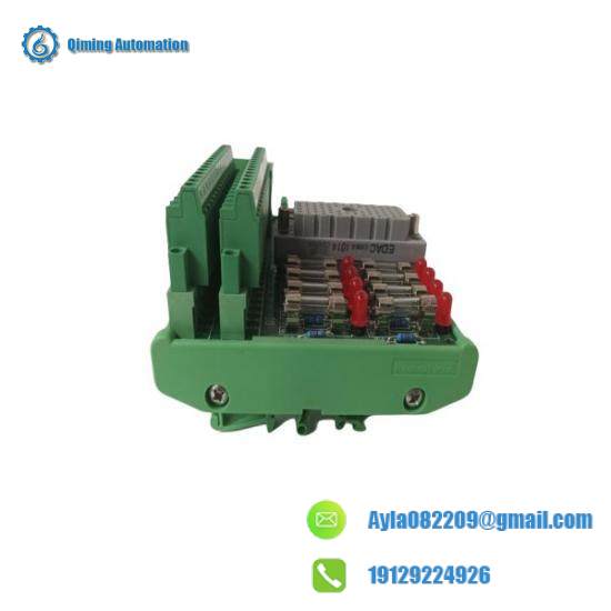 TRICONEX DO2401 Module