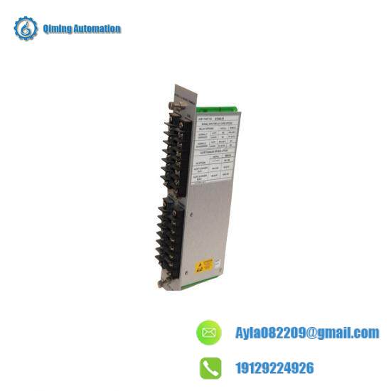 Module Interface