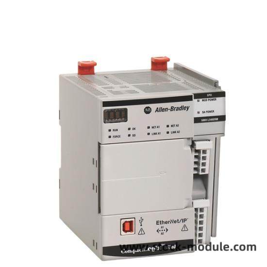 5069-L306ERM Module