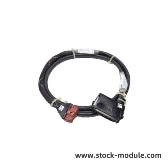 BAILEY IMMFP01 Module