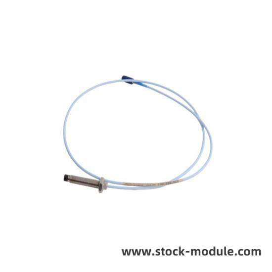 BENTLY 124761-01 Module