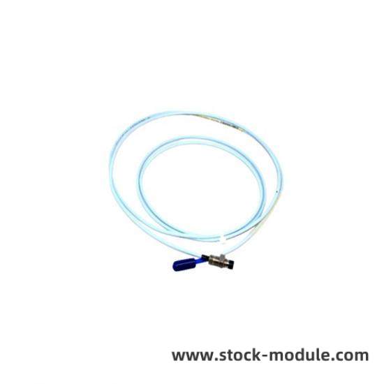 BENTLY 126632-01 Module