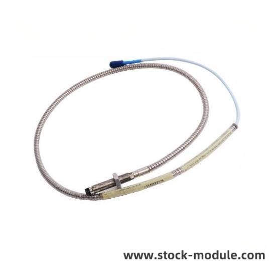 Bently Module Diagram