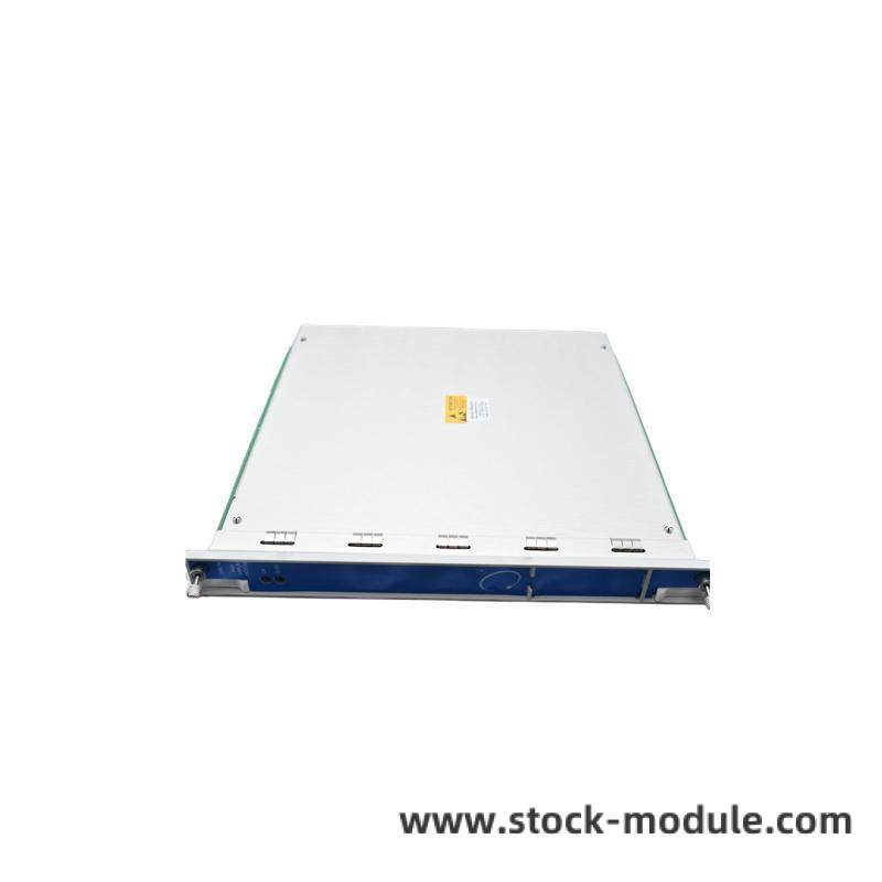 Bently Nevada 3500/94 Module