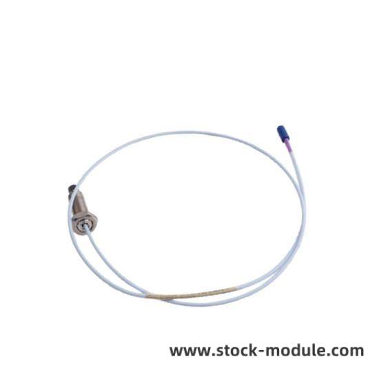 BENTLY NEVADA Module