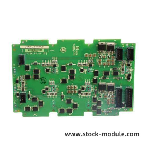Module Overview