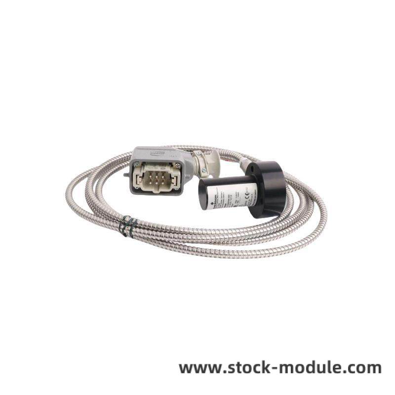 EMERSON CE4001S2T2B4