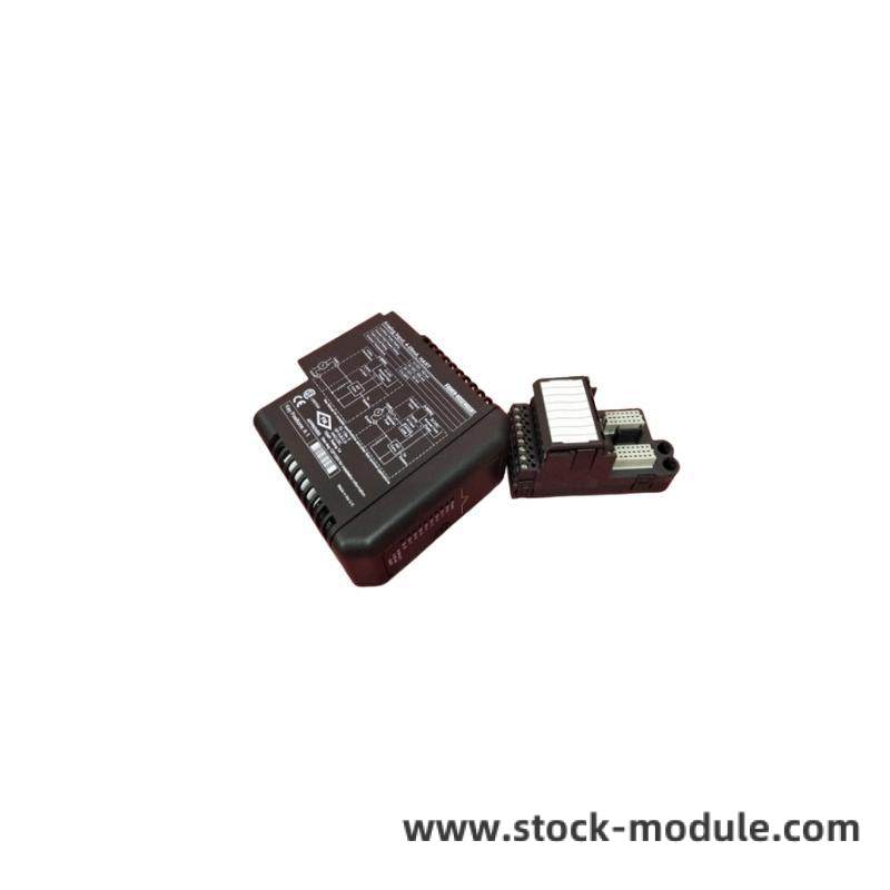 Module Installation Diagram