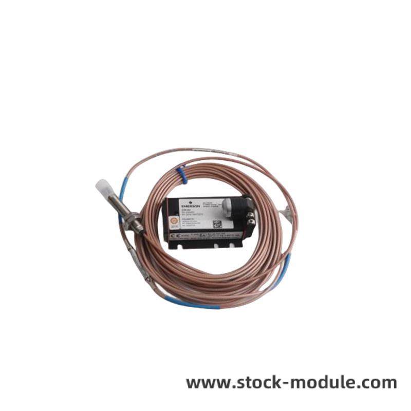 Module Details