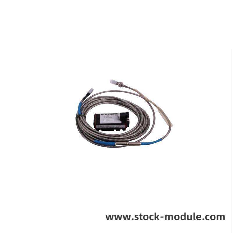 Module Details