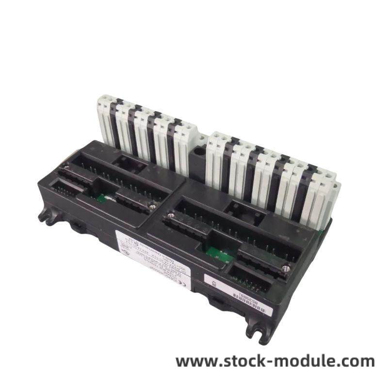 GE IC670CHS002 Module