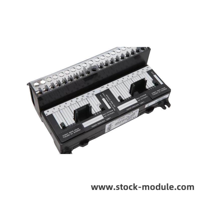 GE IC670CHS101 Module