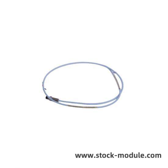 GE IC697MEM717C Module