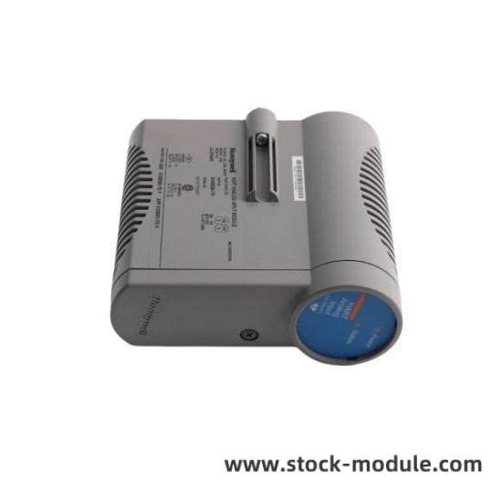 Module connectivity ports