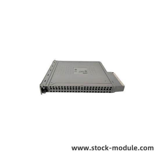ICS TRIPLEX Module Diagram
