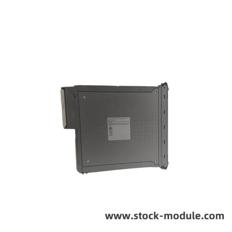 ICS TRIPLEX T8461C Module