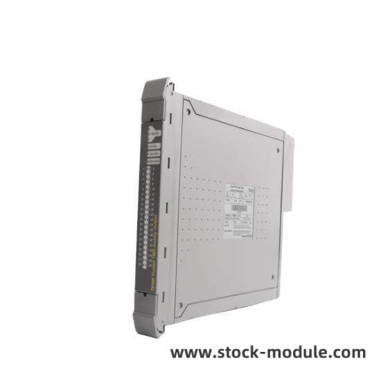 ICS TRIPLEX T8480C Module Front View