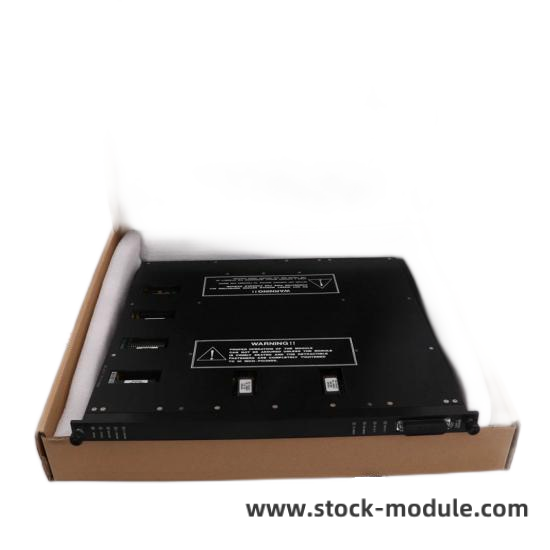 TRICONEX 2551 Side View