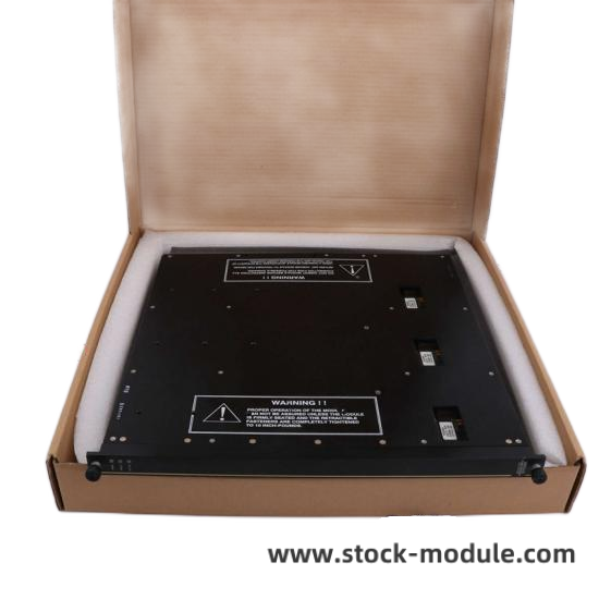 TRICONEX 8405N Front View