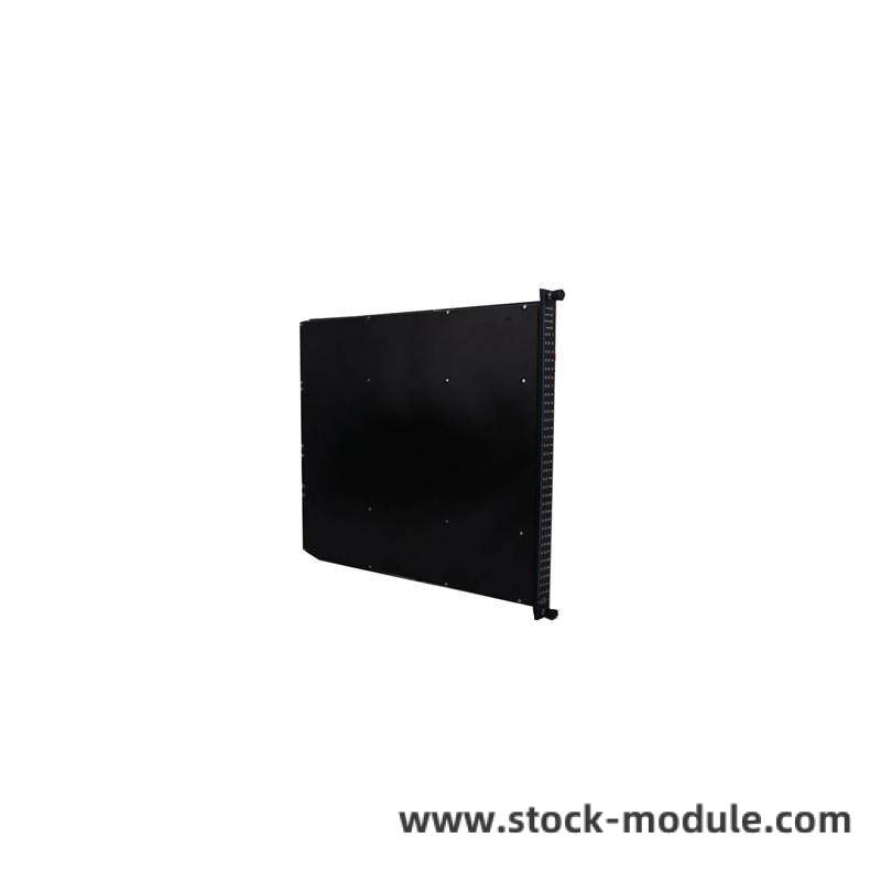 TRICONEX 9563-810 Side View