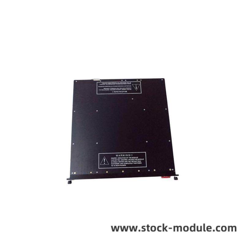 TRICONEX 9651-110 Module