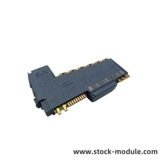 TRICONEX 2402 Module