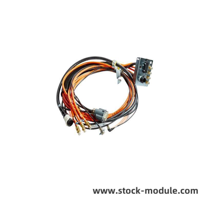 TRICONEX 2481 Module