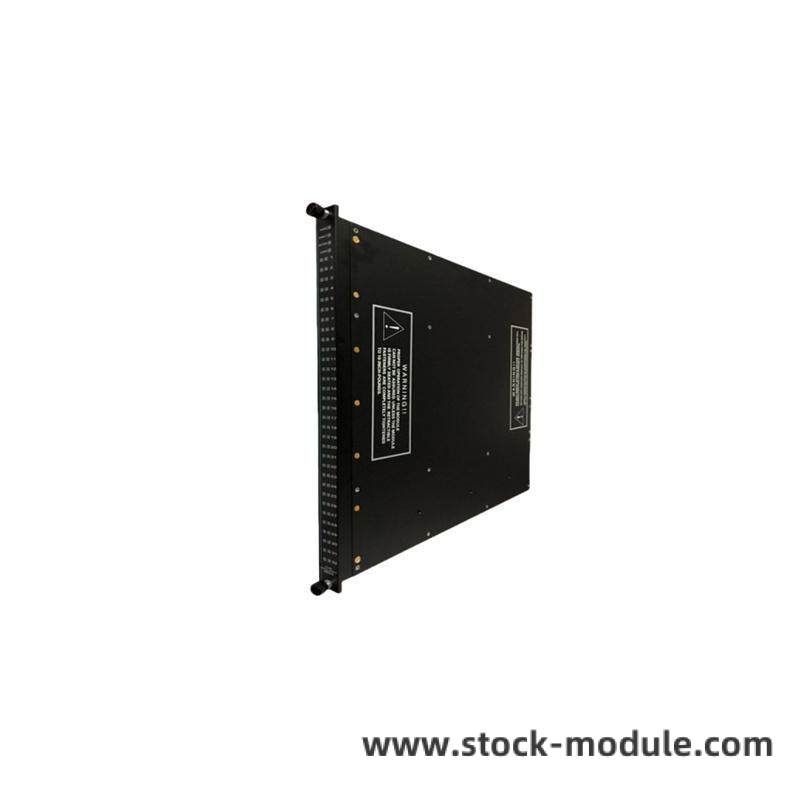 TRICONEX 3625A Module