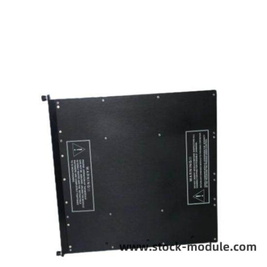 TRICONEX Module Front View