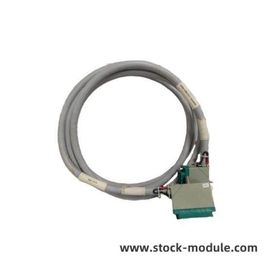 TRICONEX 4000103-510N Module