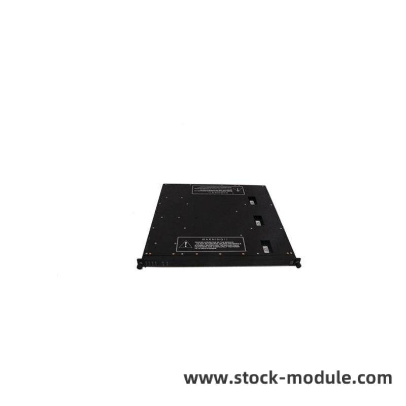 TRICONEX 7400212-100 Module Front View