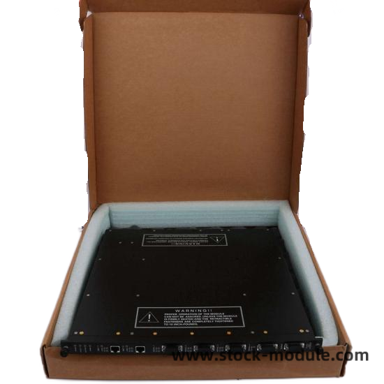 TRICONEX 9760-210 Module