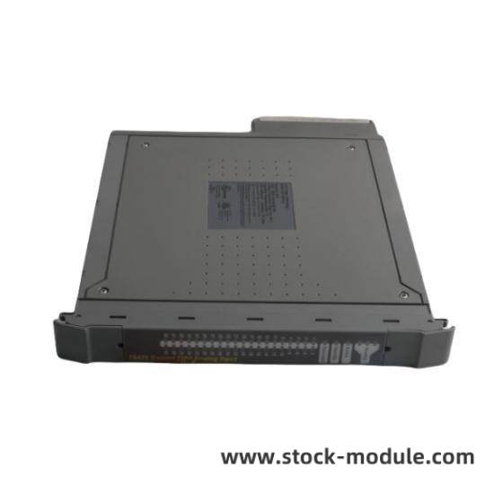 TRICONEX DEMO Module